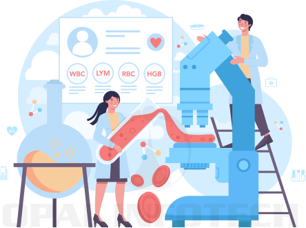 SEO Services for Chemical Companies