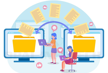 Website Migration or Transfer