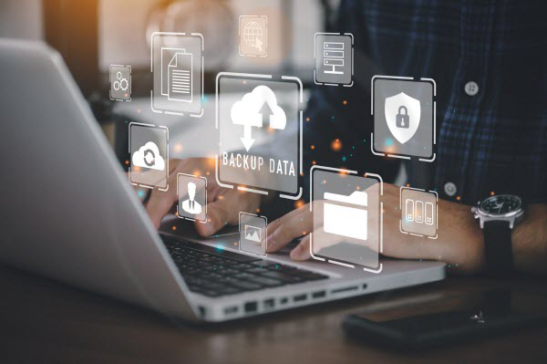 Website Data Backup and Website Maintenance