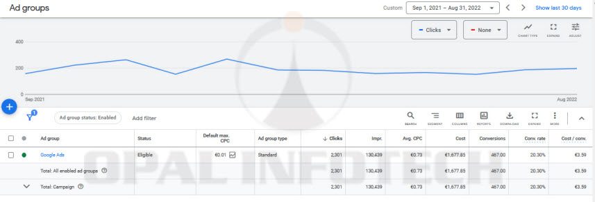 Yearly Google Ads Traffic
