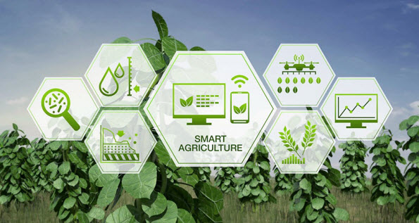 Web Design for AgricultureWeb Design for Agriculture
