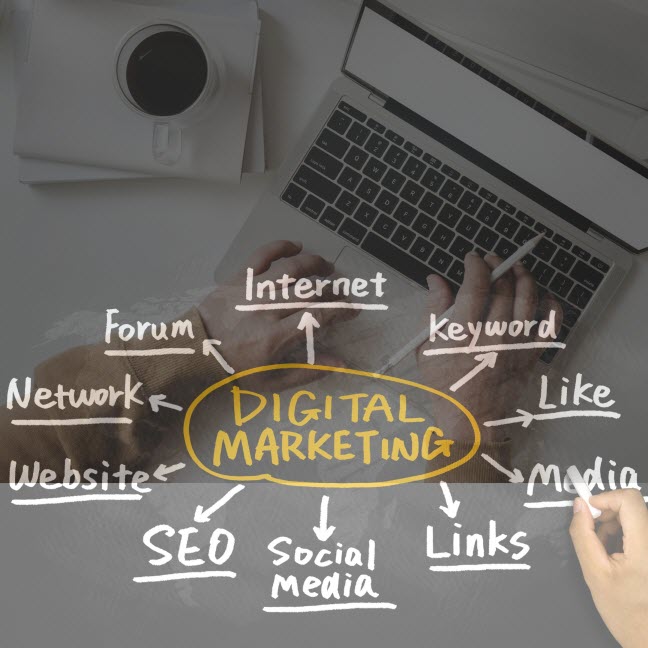 Digital Marketing Success Story