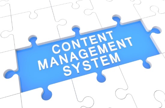 Content Management System (CMS)