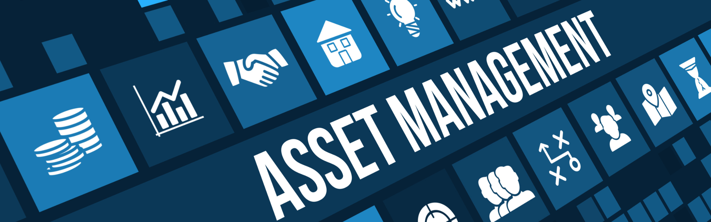 Speed-Focused Asset Management