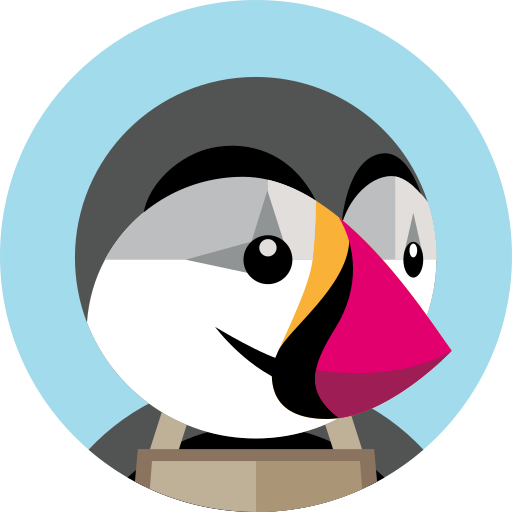Prestashop Speed Optimization Services