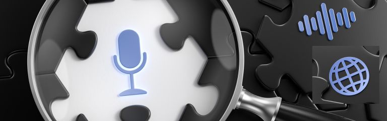 Voice Search Optimization