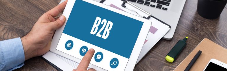 B2B and eCommerce website performance optimization
Proven Expertise