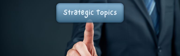 Strategic/Executive Topics Strategic/Executive Topics