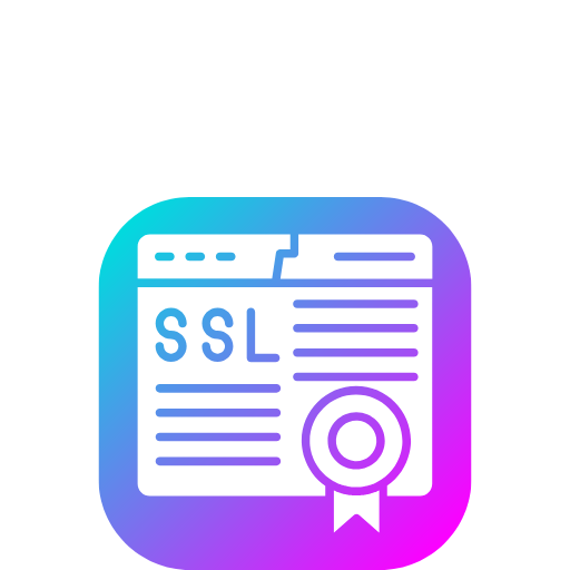 Need for Optimized Site Speed and Security (SSL Certificates)