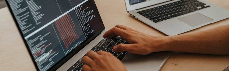 The Role of a Dedicated WordPress Developer The Role of a Dedicated WordPress Developer