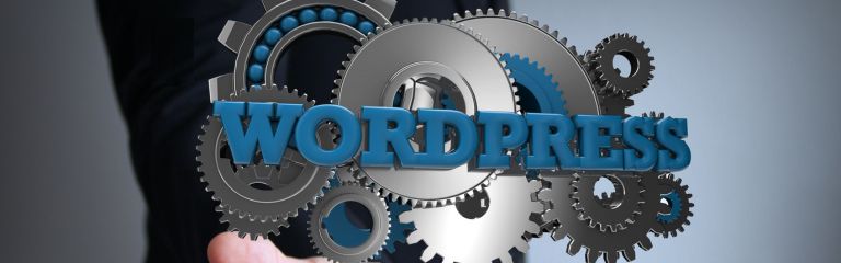 Why Choose India for WordPress Development? Why Choose India for WordPress Development?