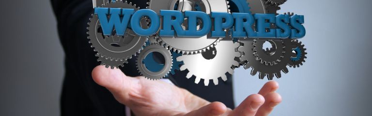 WordPress Website Design and Development Services
WordPress Website Design and Development Services