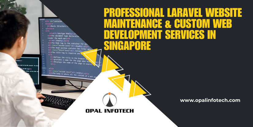 Professional Laravel Website Maintenance & Custom Web Development Services in Singapore