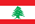 Review for Opal Infotech from Lebanon by Jessy Sleiman