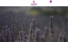 Anant Fragrance