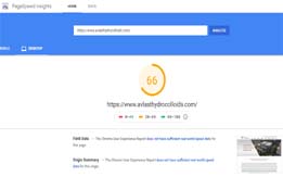 Speedtest Avlast