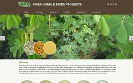 Amba Gums & Feeds Products
