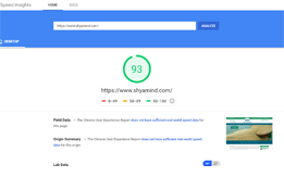 Speedtest Shyam Industries