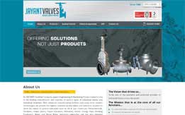 Jayant Valves
