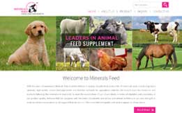 Minerals Feed